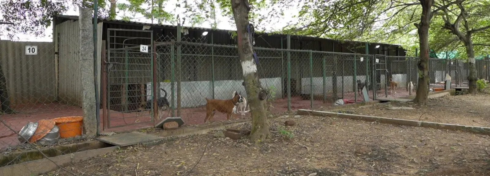 VOSD-Sanctuary-Hospital VOSD-Sanctuary-Hospital