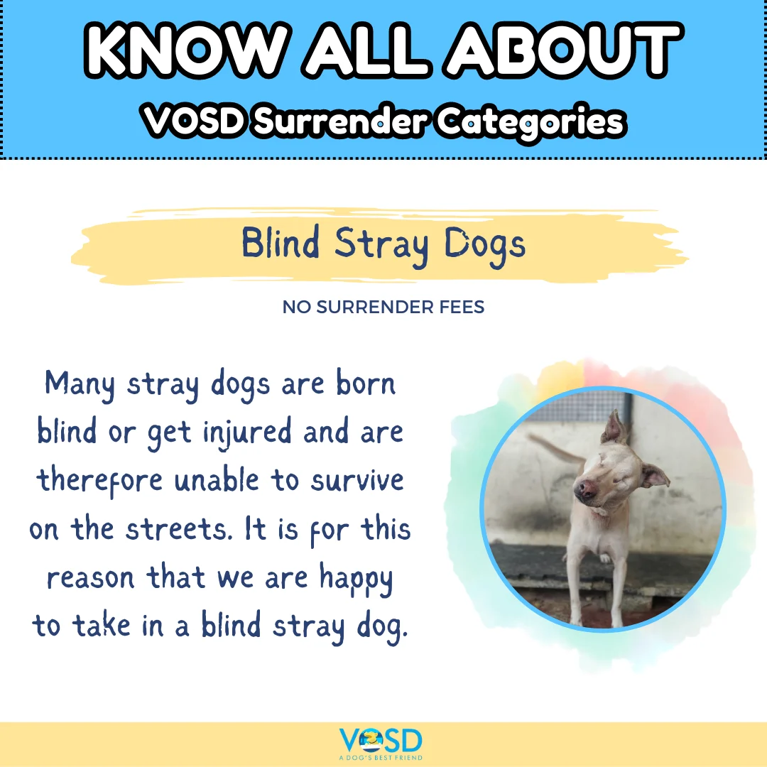 VOSD SURRENDER CATEGORIES 1 32