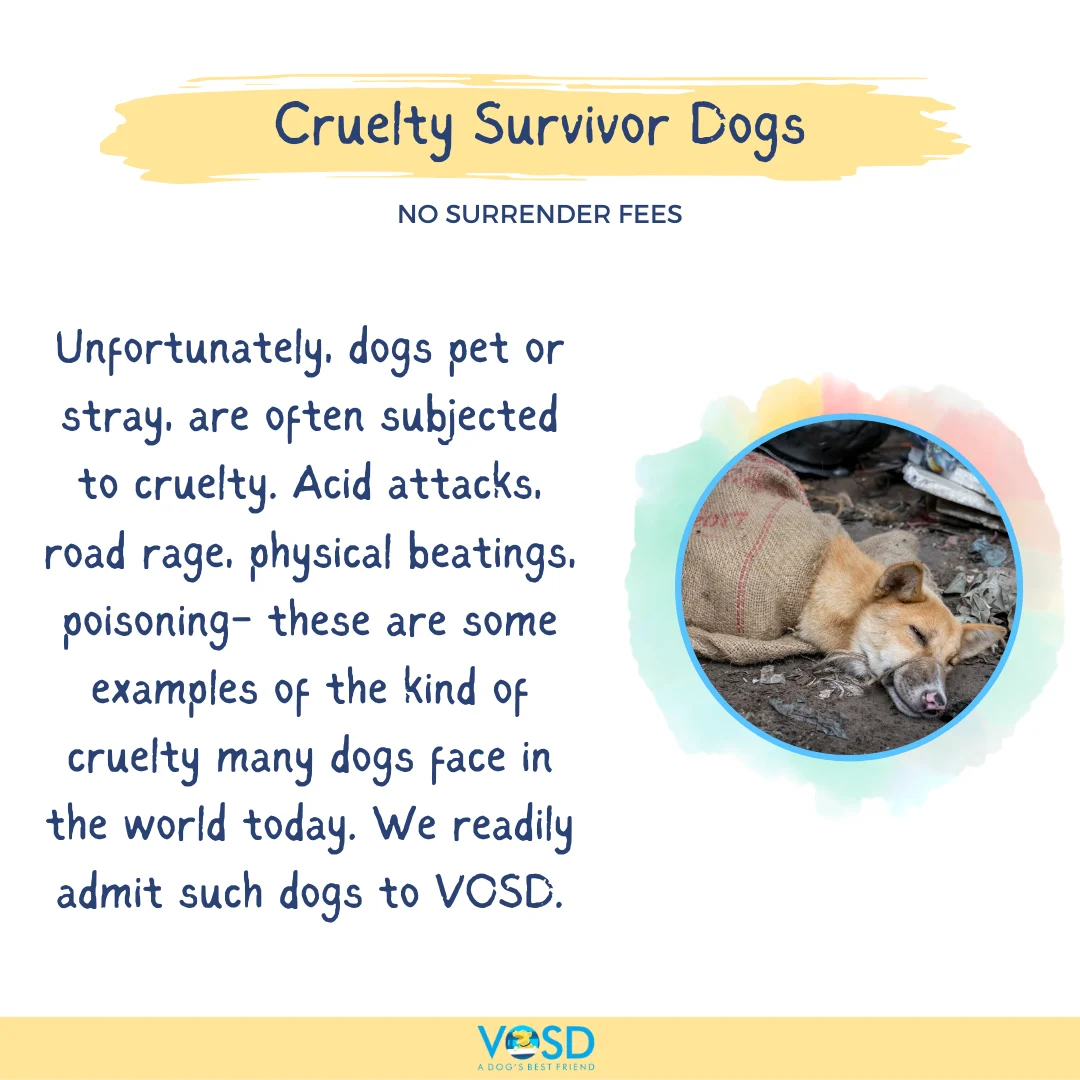 VOSD SURRENDER CATEGORIES 2 33