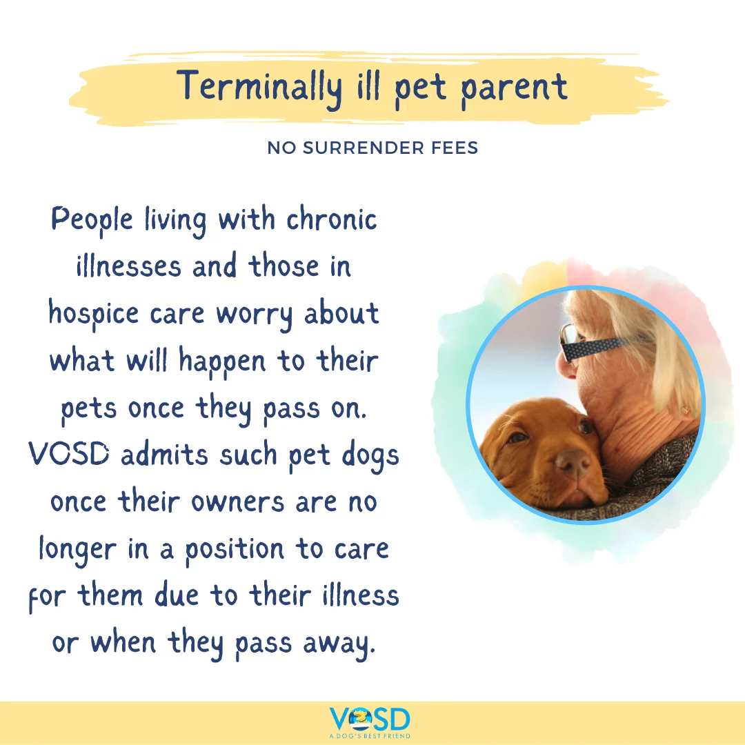 VOSD SURRENDER CATEGORIES 4 35
