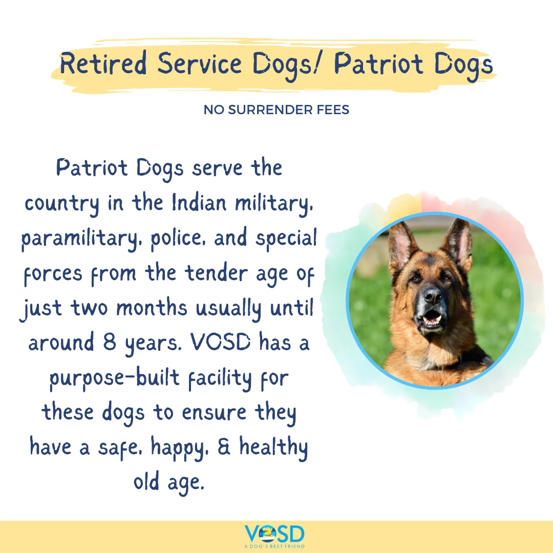 VOSD SURRENDER CATEGORIES 5 36