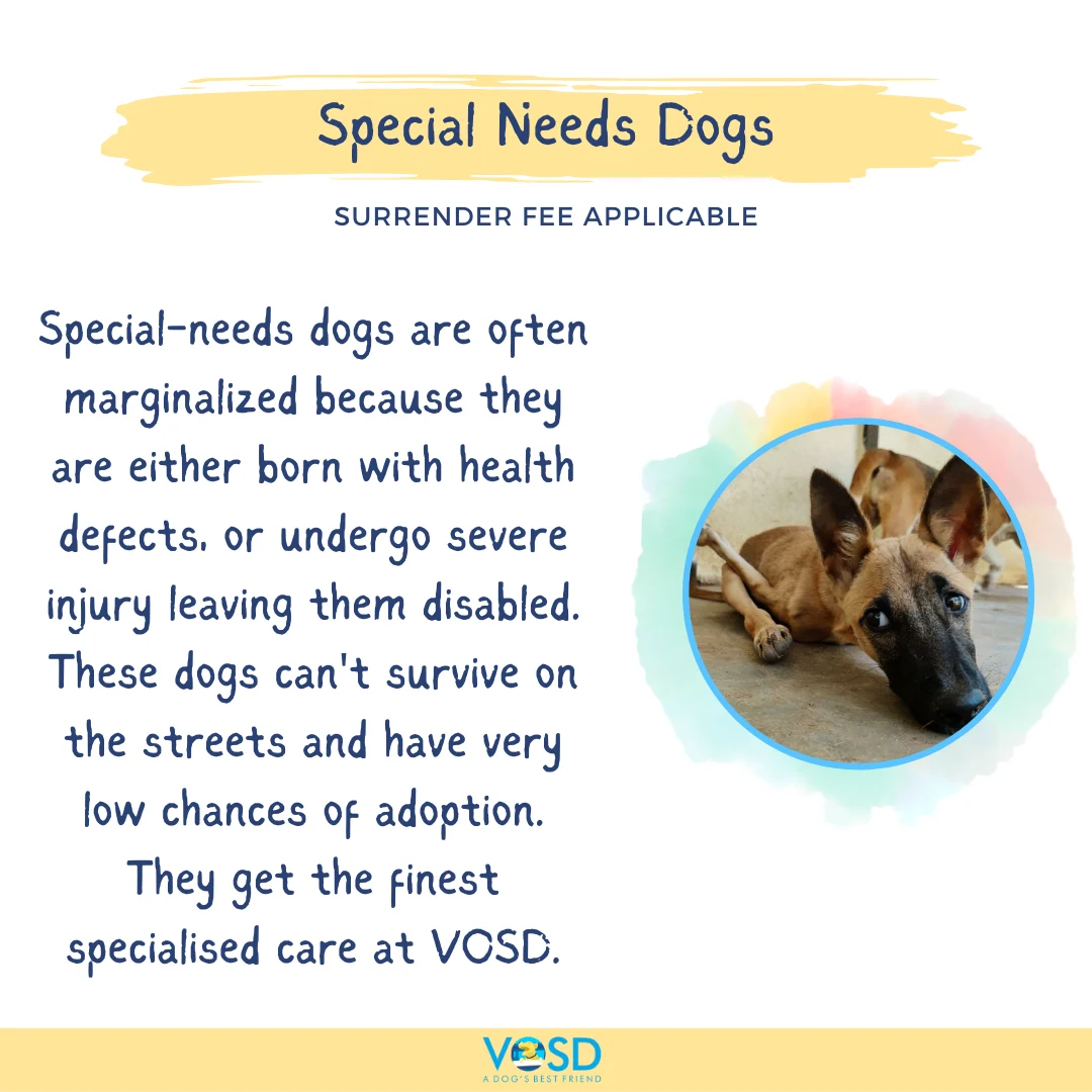 VOSD SURRENDER CATEGORIES 7 38