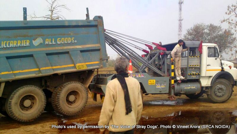 Cows for the slaughter: In the land of the holy cow & that officially prohibits cow slaughter* 1 IMG 20140125 WA0023 001