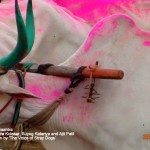 Pinjari spiked rod put next to the neck so that pain is induced when bull tries to free hinself from the cart 150x150 1
