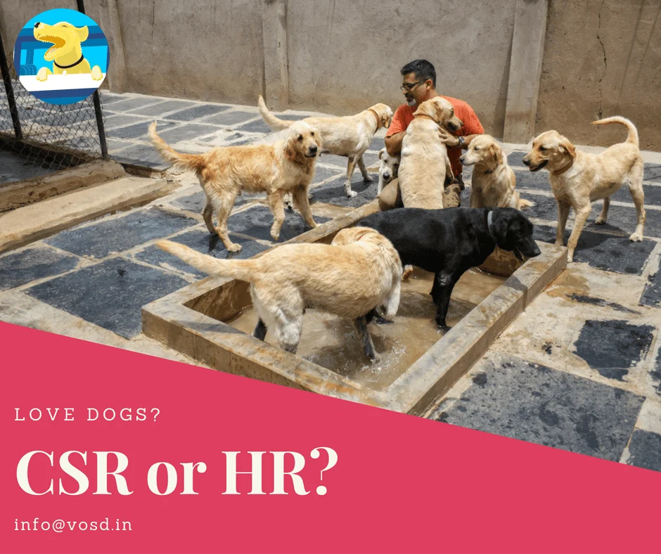 VOSD CSR HR July2018