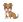 dogs