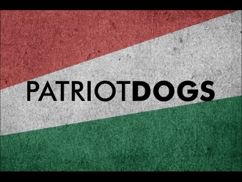 Help VOSD bring home 100 #PatriotDogs! 1 help vosd bring home 100 patriotdogs
