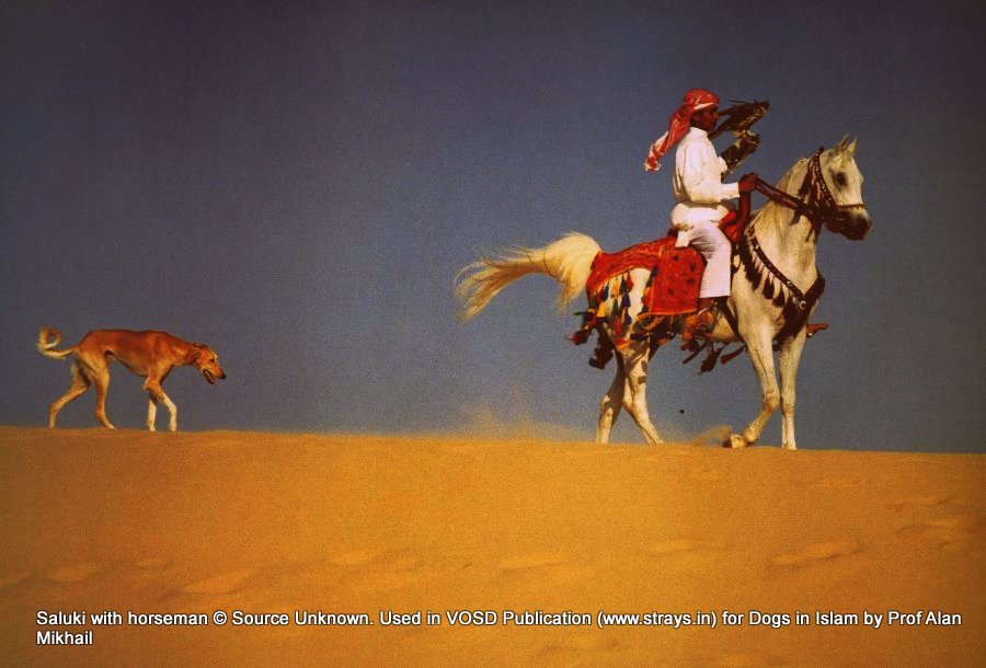 How did dogs become ‘dirty’ in Islam when they were not – Prof Alan Mikhail 1 man horse falcon saluki1