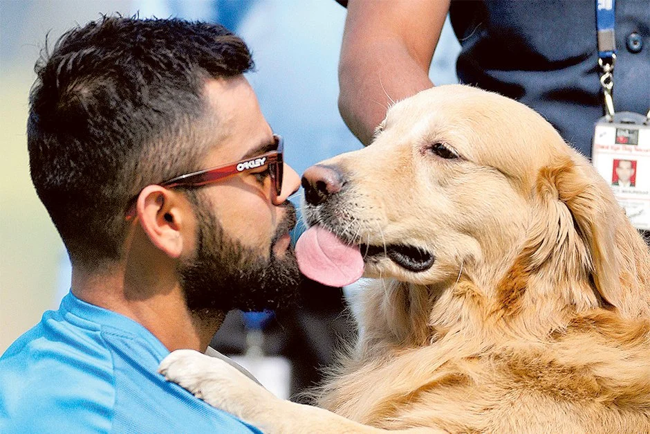 Virat Kohli bats for the VOSD #patriotdogs folks! 1 virat