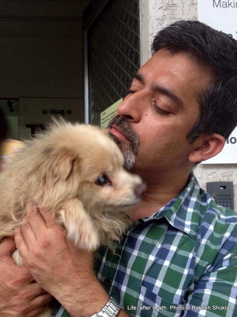 VoSD registered rescuer program: Registration for Bangalore Dog Rescuers wanting to transport their (own) rescues to VoSD 1 with Chiu 2